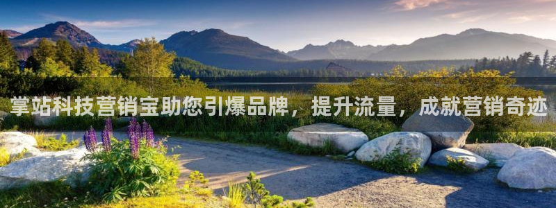 金年会金字招牌网址