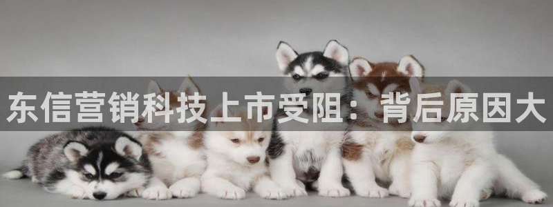 金年会金字招牌至上技术有限公司