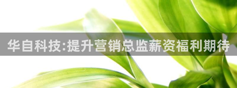 金年会赌博