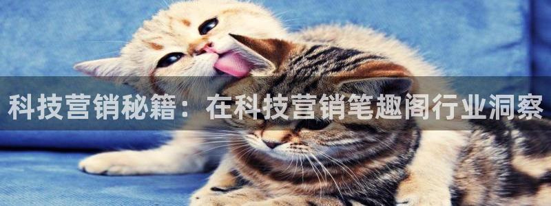 金年会手机版官方网站