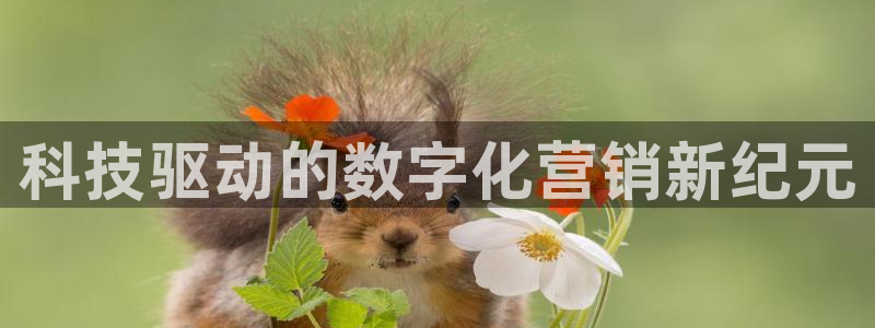 金年会网站出款被要求认证怎么办?