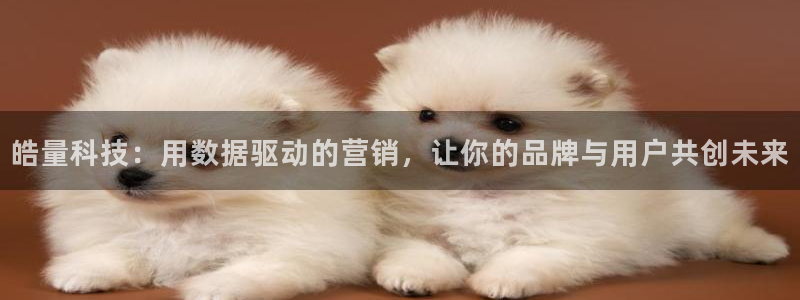 金年会体育app下载官网安卓版