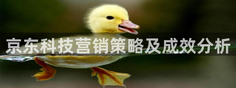 金年会体育网页登录