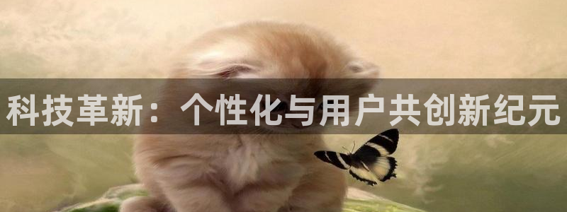 金年会体育手机app下载官网最新版