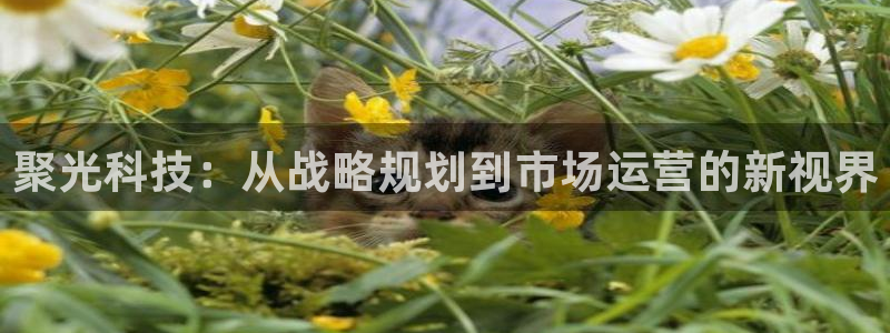 金年会官方