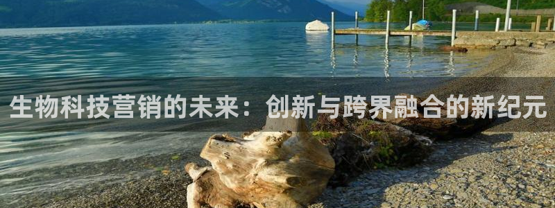 金年会官方入口APP