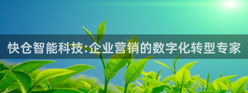金年会app登录官网