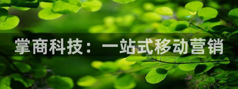 金年会qq群