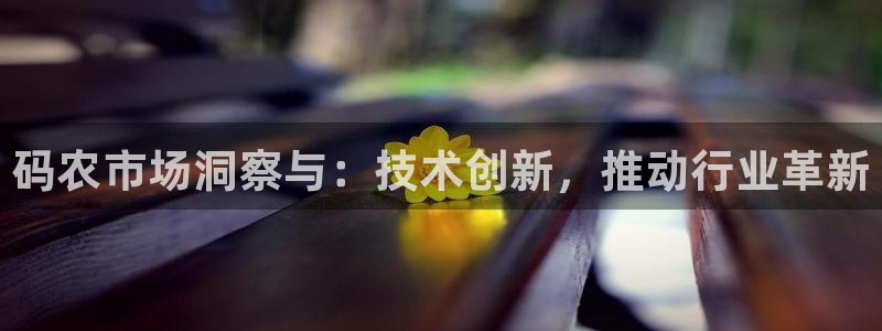 金年会官方在线入口网址是多少号
