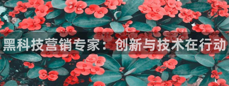 金年会app官方网站入口