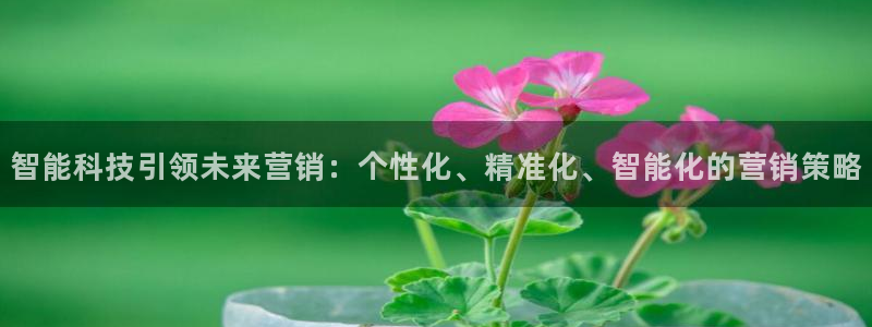 金年会网址有吗