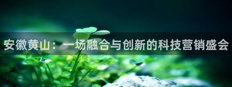 金年会网站拒绝出款怎么办?