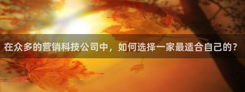 金年会官方网站入口app