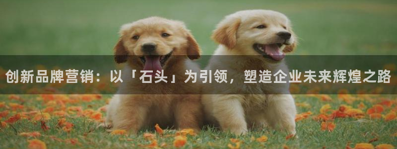 金年会官方入口网站下载