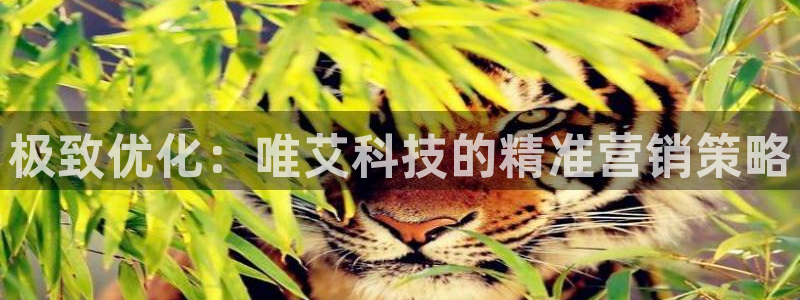 金年会体育官方入口