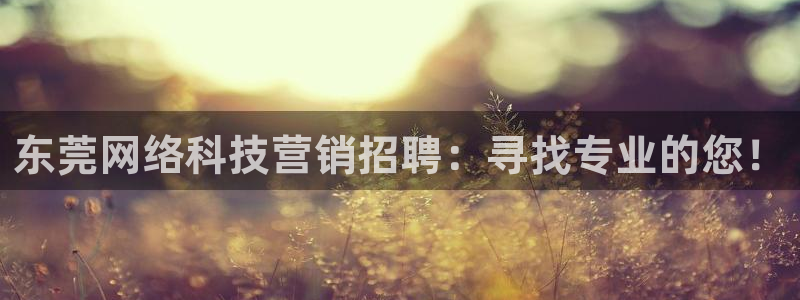 金年会网站
