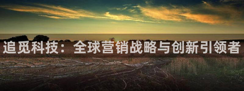 金年会平台怎么样