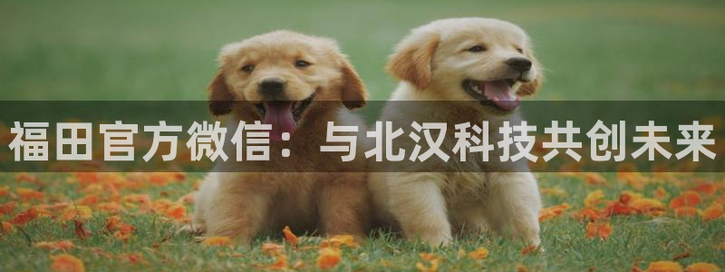 金年会官方app下载苹果