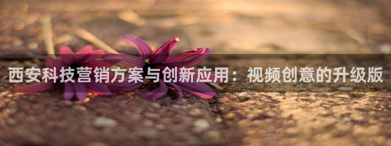 金年会下载官网app