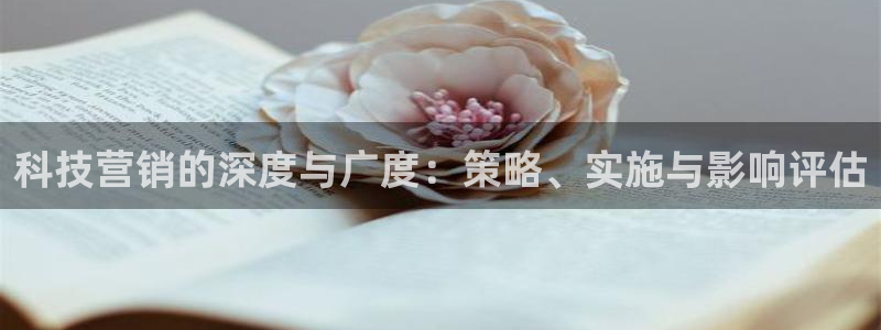 金年会平台怎么样