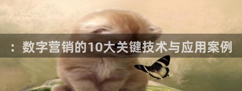 金年会app下载官网登录不了