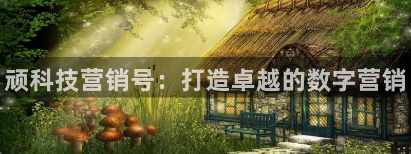 金年会vip网页版在线登录入口官网