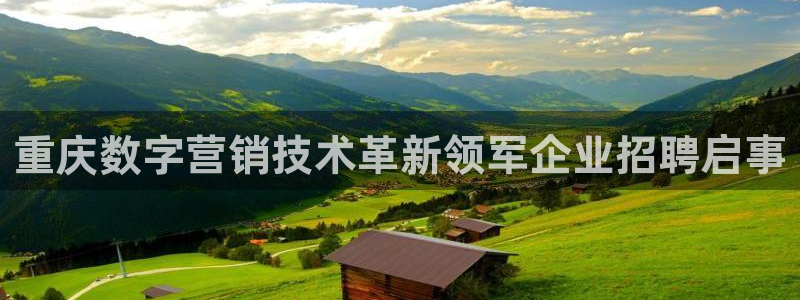 金年会体育电脑客户端登录