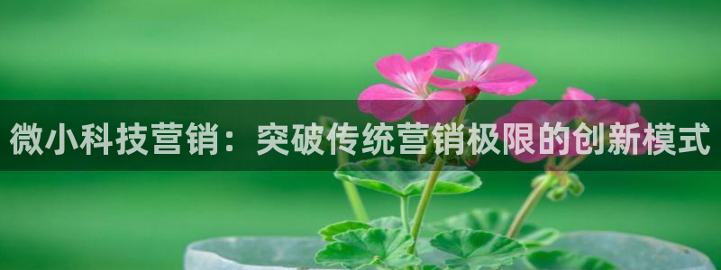 金年会金字招牌是什么意思