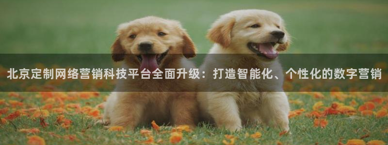 金年会官方进入2023