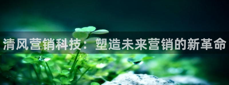 金年会体育app
