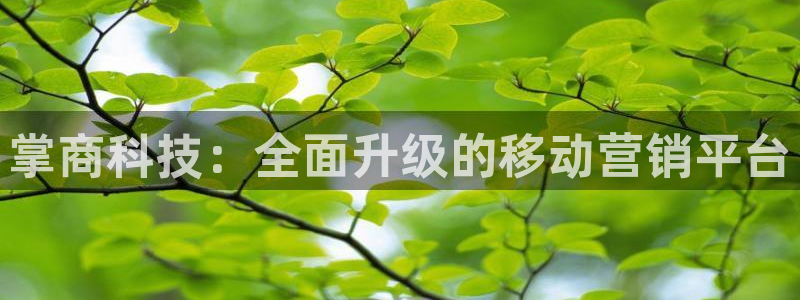 金年会赌博app平台可靠吗安全吗
