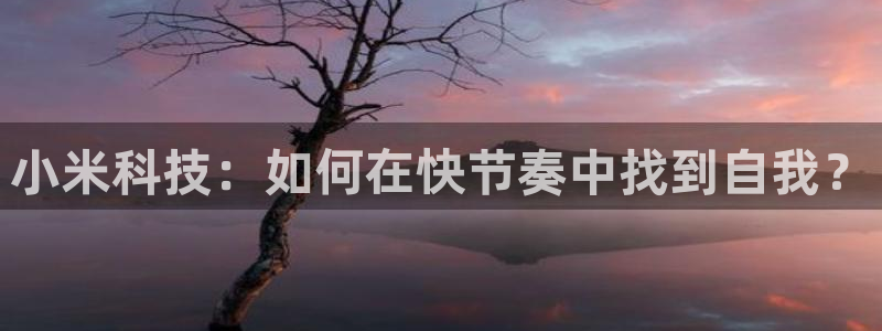 金年会体育app最新官网入口