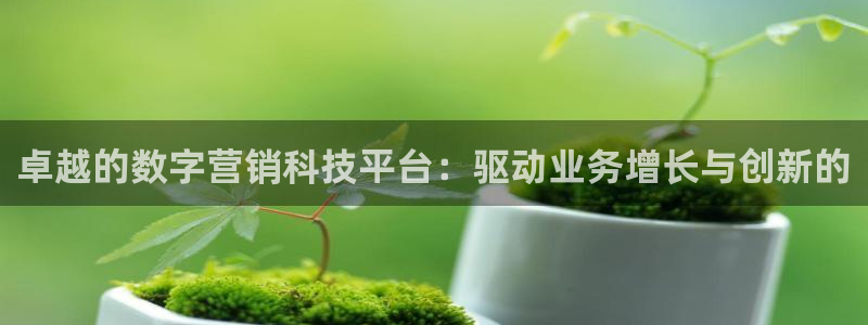 金年会网站不给提现怎么办?