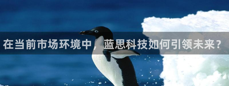 金年会官方登录入口网址是多少