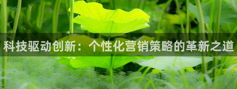 金年会体育如何