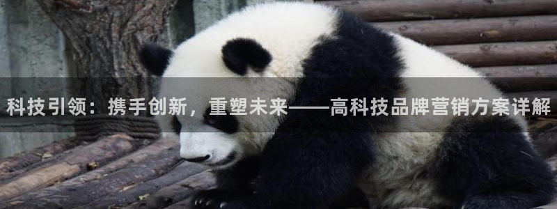 金年会网站拒绝出款怎