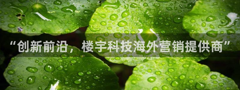 金年会官方网站入口登录