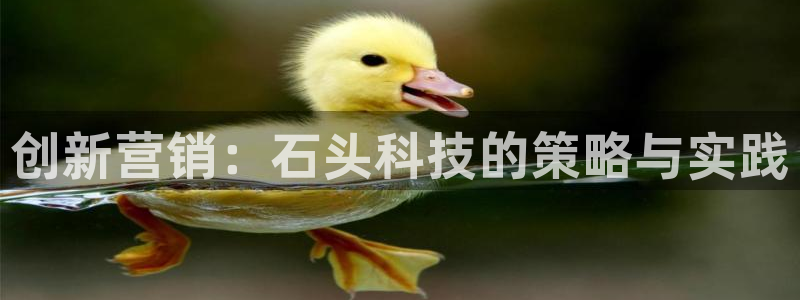 金年会官方网站入口登录手机版下载安装