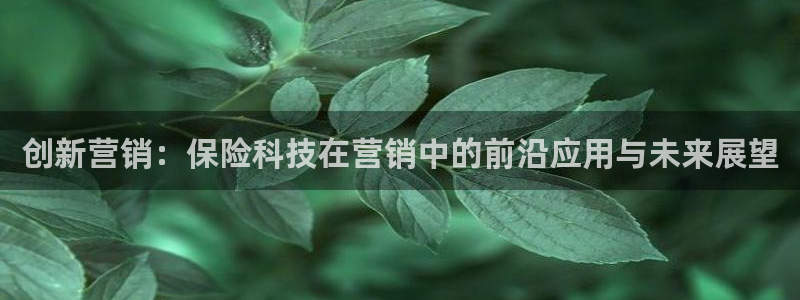 金年会体育app下载官网苹果手机