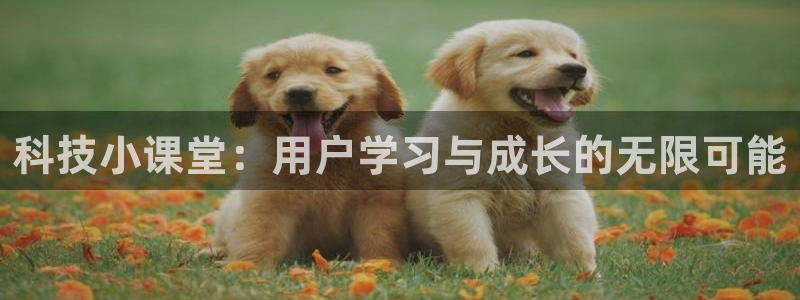 金年会官方入口APP