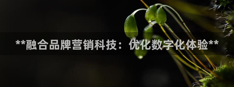 金年会官方网址查询