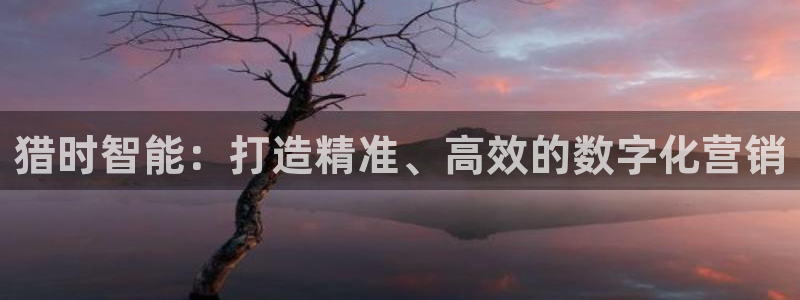 金年会官方登录网址