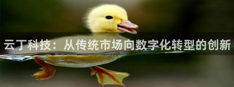 金年会信誉至上是什么意思