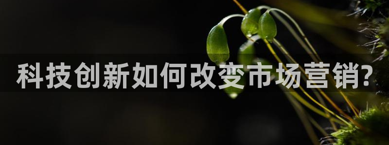 金年会体育手机app下载官网